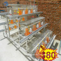 Broiler Chicken Cage/Poultry Farm Equipments